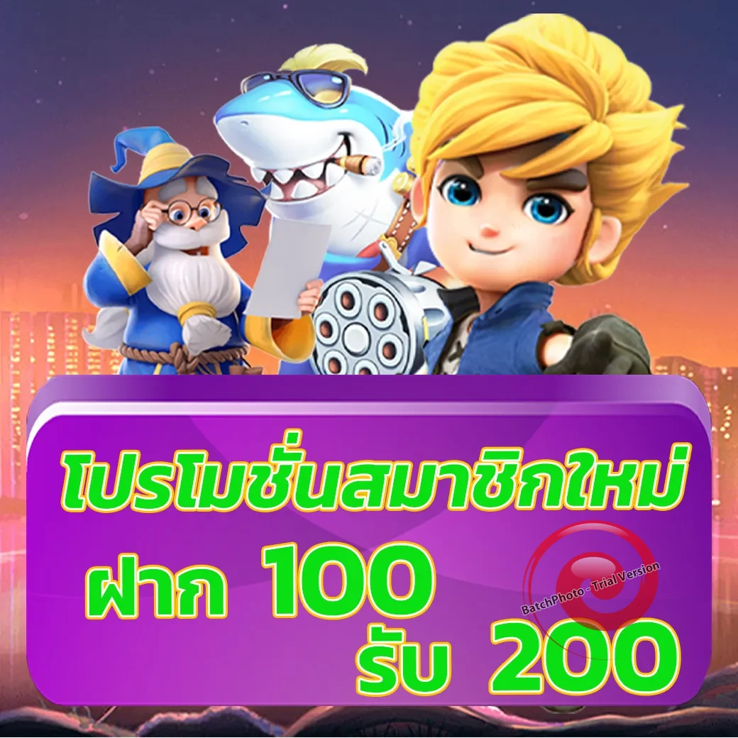ms789 ทางเข้า